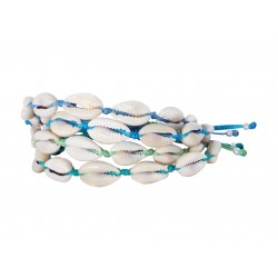 Bracelet shell   VR00648